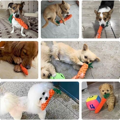 2 PCS Carrot Dog Rope Toys for Dogs, Durable Chew Toys for Aggressive Chewers, Entertainment and Interaction, Teeth Cleaning and Chewing, All-Cotton in Kuwait