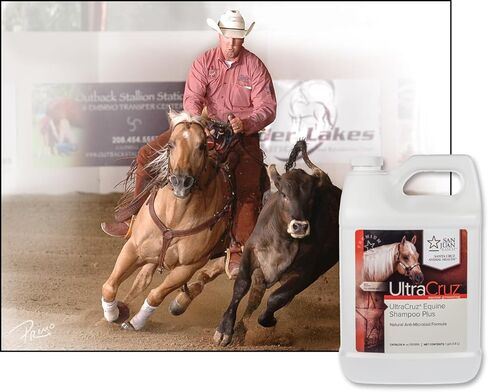 شامبو UltraCruz® Equine Plus للخيول، 1 جالون in Kuwait