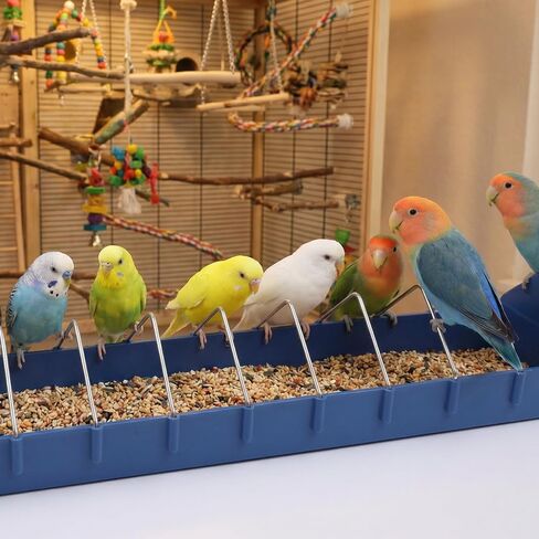 2 Pack Large Pigeon Feeder 11 Slot Thick Durable Container Feeding Dish Food Dispenser with Removable Steel Wires for Pigeon Chicken Duck Bird Parrot Poultry in Kuwait