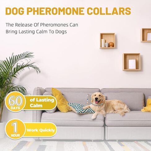 Calming Collar For Dogs 4 Packs, Effectively Relieves Anxiety from Noise, Separation, New environment, Fireworks, Adjustable 25" Flexible, Lasts 60 Days, Grey, Suitable for All Dog Sizes & Ages in Kuwait