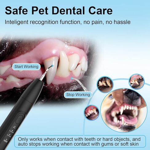 Ultrasonic Dog Plaque Remover Tool, 3 Modes Plaque and Tartar Remover for Dogs, Low Noise Sonic Dog Tartar Remover Dogs Plaque Remover with Toothbrush 2 Cleaning Head for Pet Dental Care, Black in Saudi Arabia