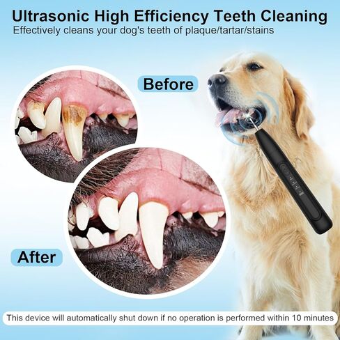 Ultrasonic Dog Plaque Remover Tool, 3 Modes Plaque and Tartar Remover for Dogs, Low Noise Sonic Dog Tartar Remover Dogs Plaque Remover with Toothbrush 2 Cleaning Head for Pet Dental Care, Black in Saudi Arabia