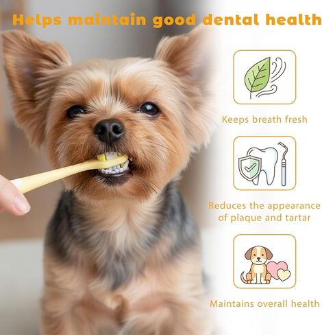 3 PCS Ultra Soft Puppy Toothbrush, Small Dog Toothbrush Mini Brush Head Cat & Pet Toothbrushes, Gentle Cat Tooth Brush Deep Teeth Cleaning, Dog Tooth Brushing Kit for Kitten and Tiny to Medium Pet in Kuwait