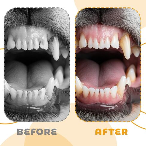 3 PCS Ultra Soft Puppy Toothbrush, Small Dog Toothbrush Mini Brush Head Cat & Pet Toothbrushes, Gentle Cat Tooth Brush Deep Teeth Cleaning, Dog Tooth Brushing Kit for Kitten and Tiny to Medium Pet in Kuwait