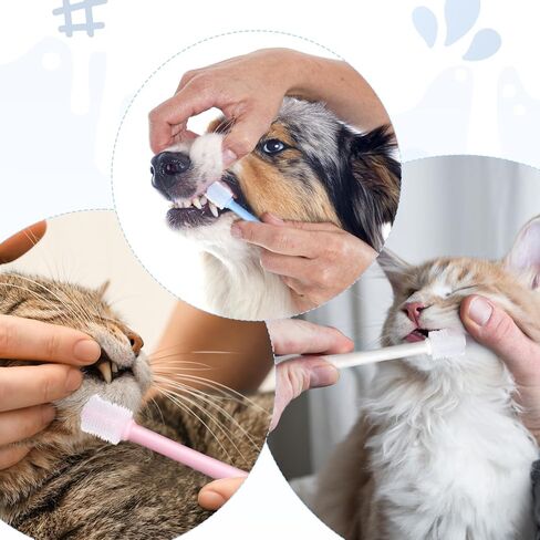Yuanchu WJIAAA Small Cat Dog Toothbrush, 3 Pack 360 Degree Soft Silicone Pet Toothbrush Cat Dental Care Dog Oral Hygiene Deep Cleaning Pet Teeth Clean Kit in Kuwait