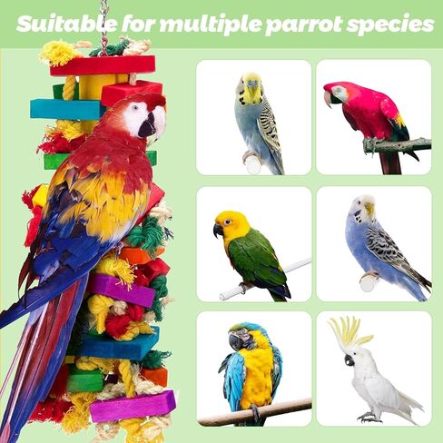 Parrot Toys for Large Birds, Natural Wood Multicolor Durable Chew Toys for Macaws, African Grey & Amazon Parrots, Ideal Pet Gift in Kuwait