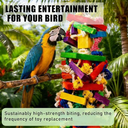 Parrot Toys for Large Birds, Natural Wood Multicolor Durable Chew Toys for Macaws, African Grey & Amazon Parrots, Ideal Pet Gift in Kuwait