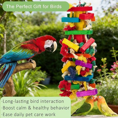 Parrot Toys for Large Birds, Natural Wood Multicolor Durable Chew Toys for Macaws, African Grey & Amazon Parrots, Ideal Pet Gift in Kuwait