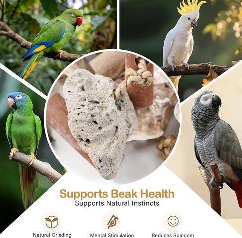 Natural Bird Toys for Parrots – 18in Handmade Shredding & Foraging Toy with Coconut Shells, Wood Blocks & Lava Stones – Parrot Toys for Sun Conures, Conures, Caiques, Cockatiels, Quaker Parrots in Kuwait