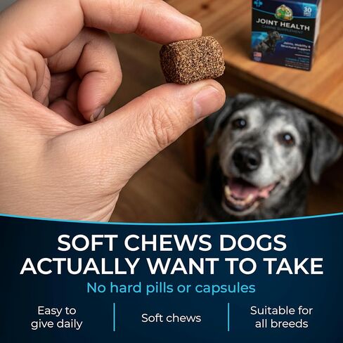 مكمل صحة المفاصل للكلاب من PET'S PALS - الجلوكوزامين والكوندرويتين وMSM - يدعم المفاصل الصحية - أقراص قابلة للمضغ للكلاب - 30 مضغًا ناعمًا in Kuwait