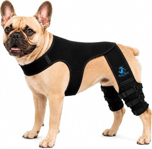 Dog Rear Knee Brace, Hind Leg Support for Canine ACL Injury Recovery, Prevention from Injury, Adjustable, Easy to Use and Joint Stability (Black) (Extra Large (XL)) in Kuwait
