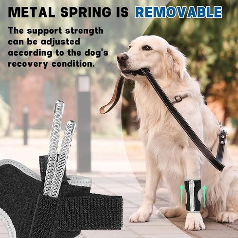 Dog Front Leg Brace with Removable Metal Springs- Adjustable Reflective Ankle Wrap for Dogs, Anti-Slip Reverse-Buckle Design Dog Splint Front Leg for Arthritis, Sprains, Injury Recovery (Black, M) in Saudi Arabia