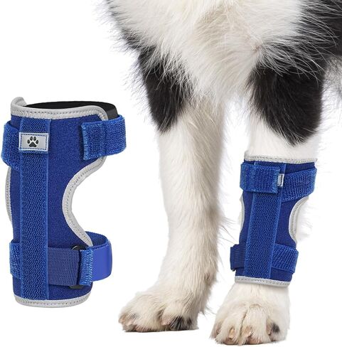 Dog Front Leg Brace with Removable Metal Springs- Adjustable Reflective Ankle Wrap for Dogs, Anti-Slip Reverse-Buckle Design Dog Splint Front Leg for Arthritis, Sprains, Injury Recovery (Black, M) in Saudi Arabia