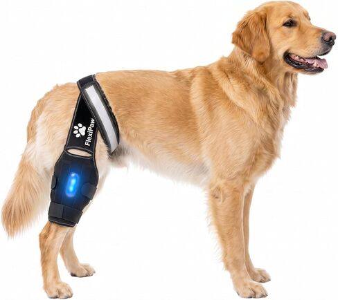 Dog Knee Brace – Rear Leg Support with Freezable Gel Pack, Removable Stabilizer Rods, Reflective Straps, for ACL/CCL Injury, Arthritis & Post-Surgery Recovery (Large) in Kuwait