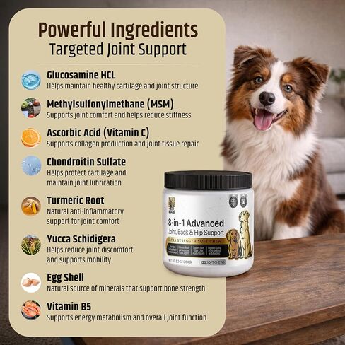 PetriGuard | Advanced Hip, Back & Joint Supplement for Dogs | Ultra Strength Formula w/ 8 Active Ingredients | USA Made & Veterinarian Approved | Glucosamine, Turmeric, MSM + 5 More - 120 Chews in Kuwait