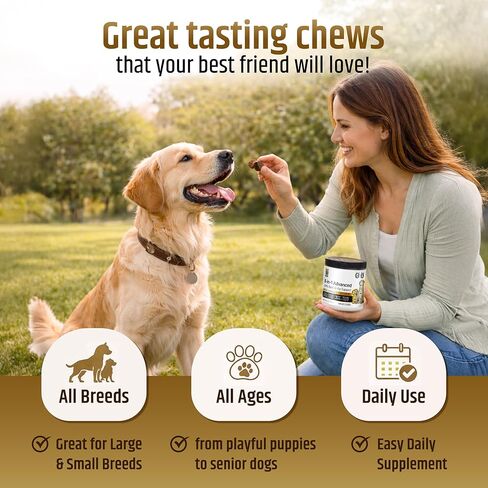 PetriGuard | Advanced Hip, Back & Joint Supplement for Dogs | Ultra Strength Formula w/ 8 Active Ingredients | USA Made & Veterinarian Approved | Glucosamine, Turmeric, MSM + 5 More - 120 Chews in Kuwait