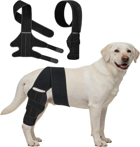 Dog Knee Brace for Back Leg, Adjustable Elbow Braces with Stabilizers, Canine Joint Support for Torn ACL, Luxating Patella, Arthritis, Ligament Injury and Post-Surgery Recovery, Universal (L) in Kuwait