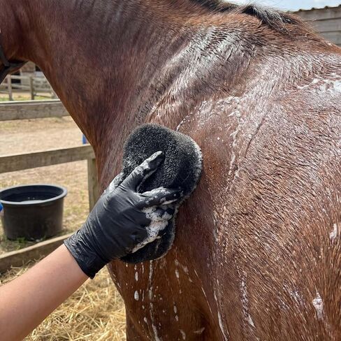 Horse Grooming Set with Mane & Tail Brush and Soft Cleaning Sponge – for Daily Coat Care, Removing Dirt, Sweat & Loose Hair in Kuwait