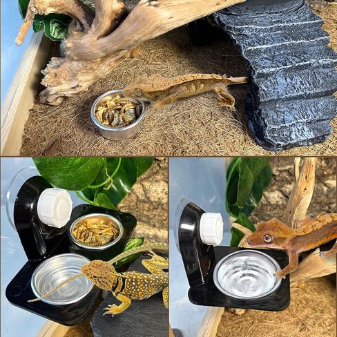Tfwadmx 12Pcs Gecko Feeding Cups, 0.5oz Metal Reptile Food Cups, Crested Gecko Food Dish, Feeding Ledge Accessories for Small Lizards, Tarantulas in Kuwait