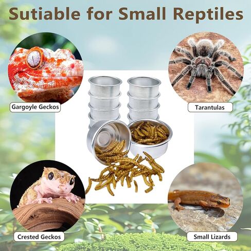 Tfwadmx 12Pcs Gecko Feeding Cups, 0.5oz Metal Reptile Food Cups, Crested Gecko Food Dish, Feeding Ledge Accessories for Small Lizards, Tarantulas in Kuwait