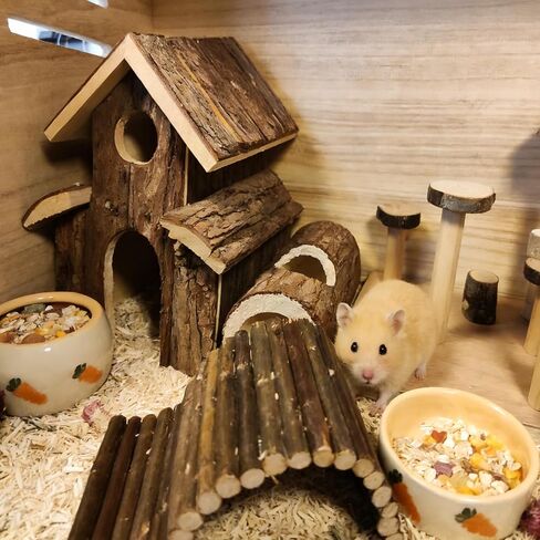kathson 2 Pcs Hamtser Food Bowl, Guinea Pig Food Bowls, Ceramic Pet Bowl Small Animals Anti-Turning Water Bowls for Bunny Chinchilla Rat Hedgehog (M) in Kuwait
