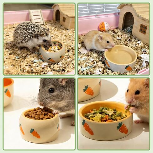 kathson 2 Pcs Hamtser Food Bowl, Guinea Pig Food Bowls, Ceramic Pet Bowl Small Animals Anti-Turning Water Bowls for Bunny Chinchilla Rat Hedgehog (M) in Kuwait