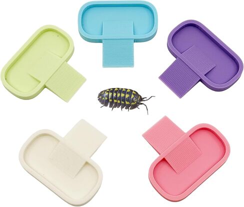 5 Large Isopod Feeding Dishes with Ramp for Millipede, Land Snail, Hermit Crab, Cockroaches 5 Pack (Pastel) in Saudi Arabia