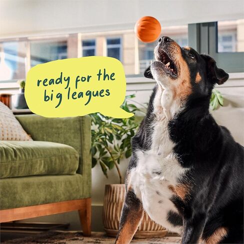 WOOF Flyball - 2-in-1 Fetch Ball and Dog Treat Dispenser Toy - Interactive Puzzle for Enrichment - Fits Standard Ball Launchers - Durable, Tooth-Friendly Rubber - The Perfect Dog Gift - 3 Pack in Saudi Arabia