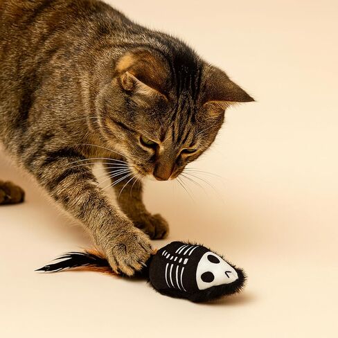 Halloween Cat Toys – 2-Pack Interactive Plush Fishbone and Mouse Bone Catnip Toys with Feather Tails for Indoor Cats in Kuwait
