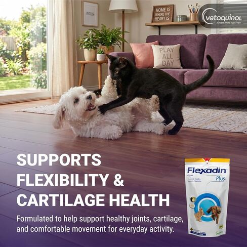 Vetoquinol Flexadin Plus - دعم الورك والمفاصل للقطط والكلاب الصغيرة - المرونة ودعم الغضروف - يساعد على حركة الحيوانات الأليفة - بلح البحر ذو الشفاه الخضراء وفيتامين E - للحيوانات الأليفة التي يصل وزنها إلى 30 رطلاً - 90 مضغًا in Kuwait