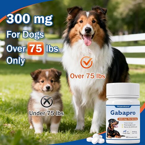 for Large Dogs, 300mg, Hip and Joint Support, Arthritis Comfort for Senior Dogs, Over 75 lbs, 90 Tablets in Kuwait
