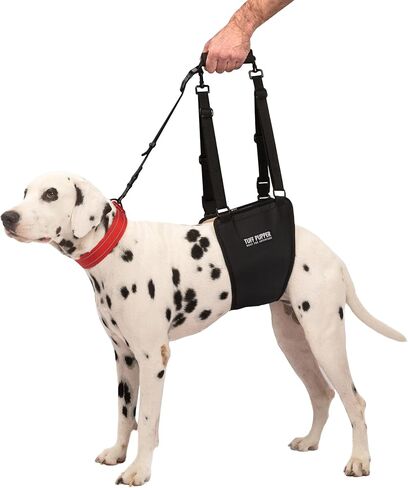 Tuff Pupper Dog Sling Hip Harness | Rear Lift Support for Senior & Injured Dogs | Adjustable Mobility Aid | Strong Padded Handle | Comfortable Design | Hip & Hind Leg Assistance (Medium/Large, Male) in Kuwait