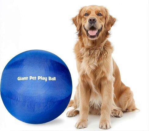 Giant Pet Play Ball Herding Ball for Dogs, 24" (2026 Edition) Includes Durable Cover and Inflation Pump in Kuwait