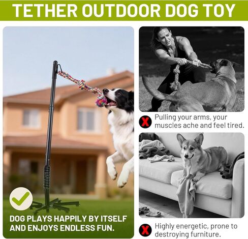 Upgrade Tether Tug Outdoor Dog Toy,Outdoor Tug Of War Toy in Park,Yard,Lawn,Tether Interactive Dog Tug Toy,2 Rope Toy and Bell Pull Chase and Solo Play,Tether Tug For Large Dogs,For Medium Small Dogs in Kuwait