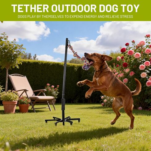 Upgrade Tether Tug Outdoor Dog Toy,Outdoor Tug Of War Toy in Park,Yard,Lawn,Tether Interactive Dog Tug Toy,2 Rope Toy and Bell Pull Chase and Solo Play,Tether Tug For Large Dogs,For Medium Small Dogs in Kuwait