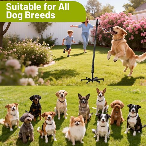 Upgrade Tether Tug Outdoor Dog Toy,Outdoor Tug Of War Toy in Park,Yard,Lawn,Tether Interactive Dog Tug Toy,2 Rope Toy and Bell Pull Chase and Solo Play,Tether Tug For Large Dogs,For Medium Small Dogs in Kuwait