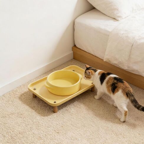 Cat Bowl Stand Elevated Shelf Raised Stand Washable Raised Pet Feeder Rack Cat Dog Bowl Tray for Food Dispenser Pet Supplies in Saudi Arabia