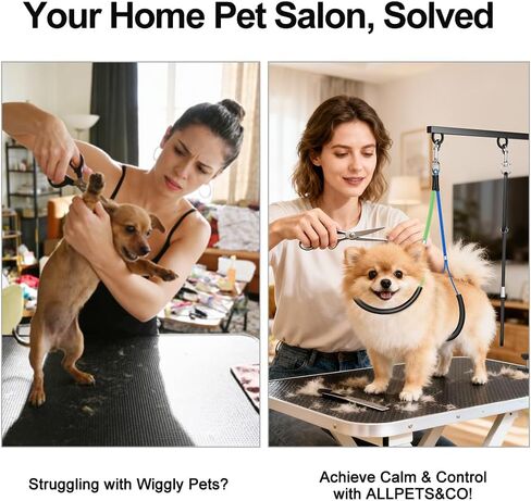 مجموعة ذراع العناية بالكلاب المحمولة القابلة للطي من ALLPETS&CO: قابلة للتعديل من 27 بوصة إلى 40 بوصة مع مشبك وأرجوحة للخدمة الشاقة، 4 قطع من أدوات الحلاقة، تقييد عدم الجلوس للكلاب المتوسطة الصغيرة، مجموعة كاملة للعناية بالصالونات المنزلية in Kuwait