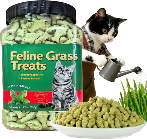 UBIETY 13.5 OZ Cat Grass Treats for Indoor Cats Hairball Control Natural Salmon Cat Grass Treats Kitten Snacks Training Biscuits Catnip (13.5OZ) in Kuwait