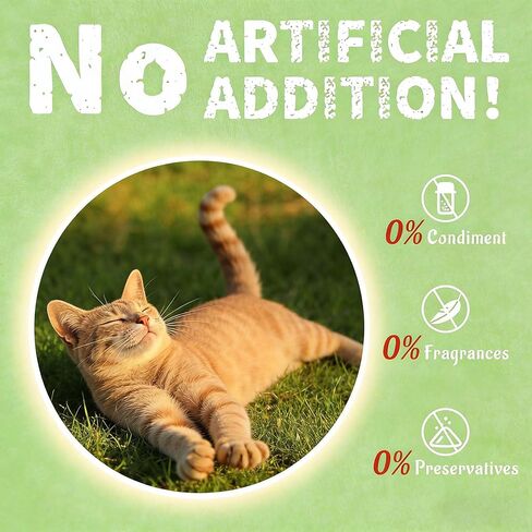UBIETY 13.5 OZ Cat Grass Treats for Indoor Cats Hairball Control Natural Salmon Cat Grass Treats Kitten Snacks Training Biscuits Catnip (13.5OZ) in Kuwait