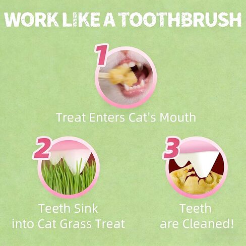 UBIETY 13.5 OZ Cat Grass Treats for Indoor Cats Hairball Control Natural Salmon Cat Grass Treats Kitten Snacks Training Biscuits Catnip (13.5OZ) in Kuwait