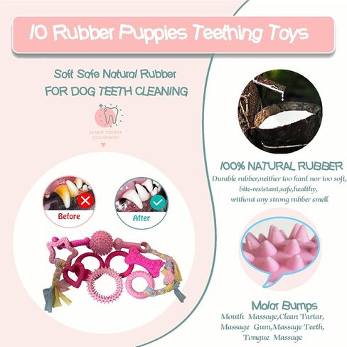 20Pcs Puppy Teething Toys for Small Medium Dogs - Cute Chew Toy Bundle Includes Plush Squeaky Toys, Rubber Ball, Rope Toy, TPR Bone, Dental Chew Ring - Interactive Dog Toy Gift with Storage Bag in Saudi Arabia