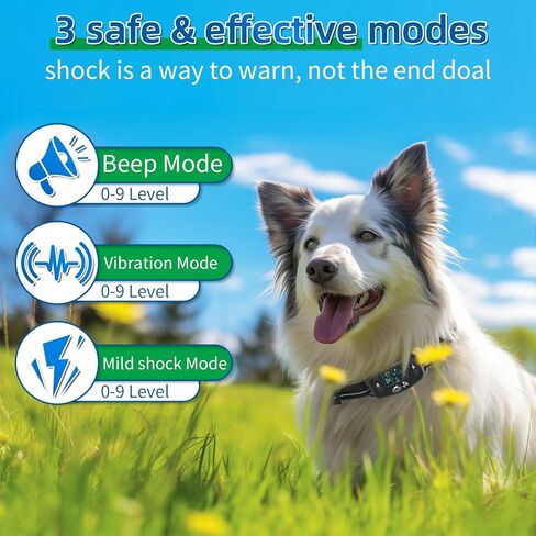 GPS Wireless Dog Fence, Range up to 6561 ft,Electric Collar with 3 Warning Modes, for Outdoor Use Waterproof& Rechargeable Pet Containment System for Most of Dogs (Black) in Kuwait
