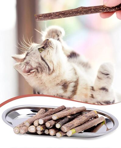15 Pack Silvervine Sticks Catnip Toys, Natural Detal Chew Toy for Cats Kittens Teeth Cleaning in Kuwait