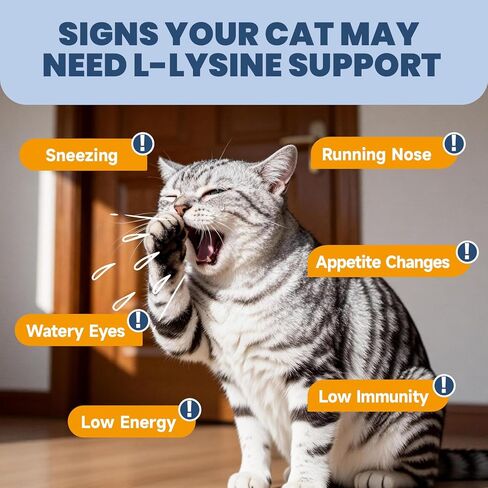 Lysine for Cats - 500 Chews L-Lysine for cats Immune, Eye Function, Respiratory Support - Cat Sneezing & Running Nose - with Taurine, Beta-Glucans, Bovine Colostrum - Crunchy & Creamy, Chicken Flavor in Kuwait