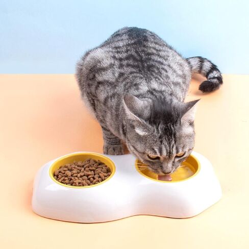 Portable Egg Yolk Bowl NSlip Water Drinking Basin Bowls Container Easy Cleaning for Puppy Kitten Utensils, Double Bowl in Kuwait