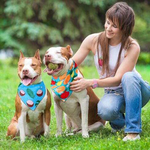 Sanwuta 24 Pcs Dog Bandanas Bulk Triangle Dog Scarfs Bib Fruit Patterns Cat Bandanas for Boy and Girl Summer Scarf for Small Medium Pet for Summer Party Favors Pet Costume Accessories in Kuwait