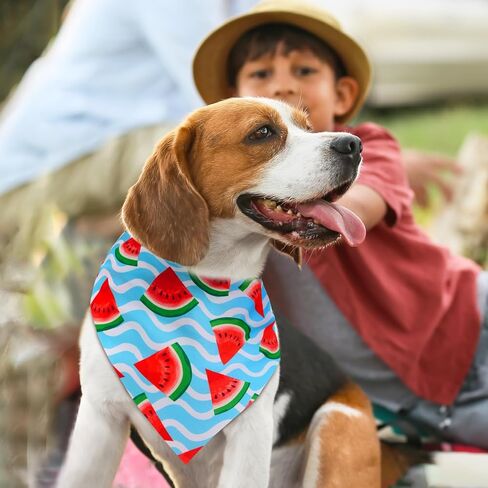 Sanwuta 24 Pcs Dog Bandanas Bulk Triangle Dog Scarfs Bib Fruit Patterns Cat Bandanas for Boy and Girl Summer Scarf for Small Medium Pet for Summer Party Favors Pet Costume Accessories in Kuwait