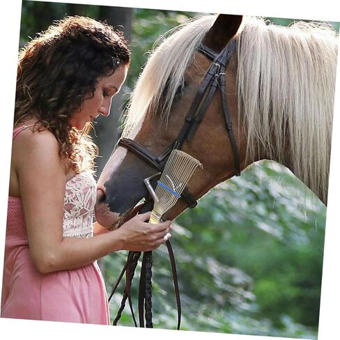 Gadpiparty 2pcs Wool Brush for Animals and Steel Grooming Brush for Sheep and Horse, 23cm Small Yellow Animal Cleaning Comb for Livestock Shedding and Wool Raking in Kuwait