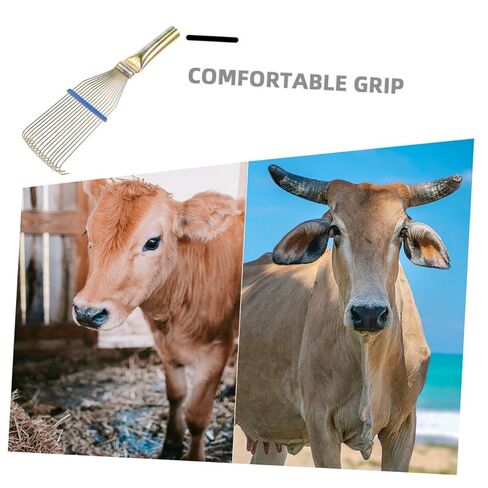 Luxshiny 2pcs Livestock Wool Brush and Steel Grooming Comb for Equine and Cattle – 23cm Small Yellow Shedding Tool for Thick Coat Dematting and Animal Cleaning in Kuwait